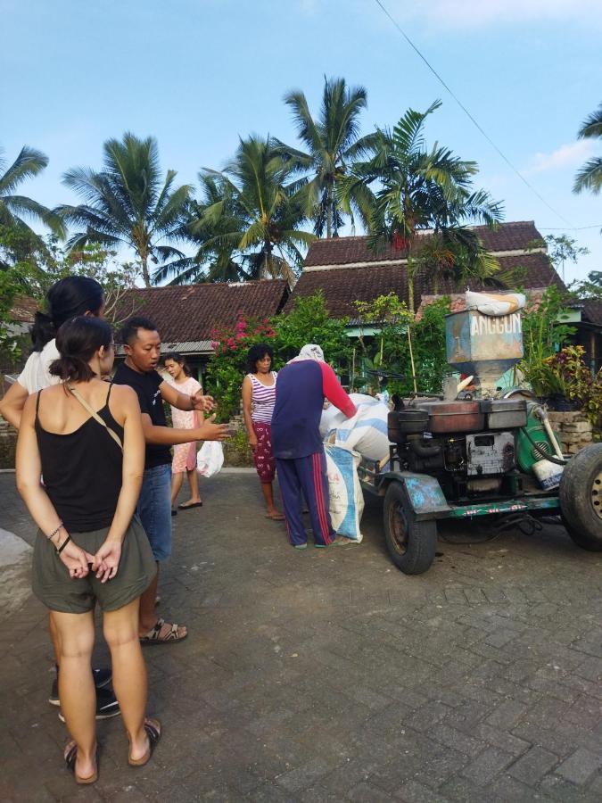 Nio Homestay And Tour Licin Exteriör bild
